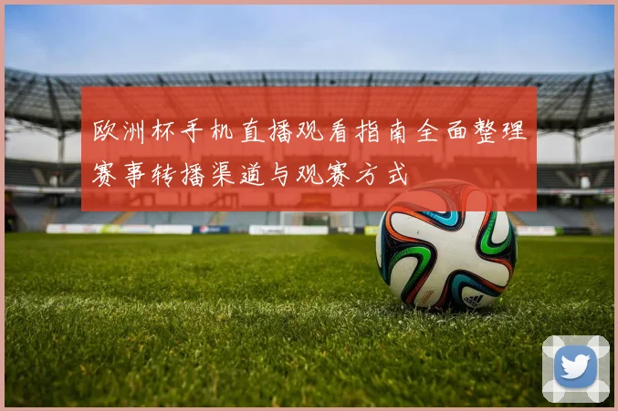 欧洲杯手机直播观看指南全面整理赛事转播渠道与观赛方式