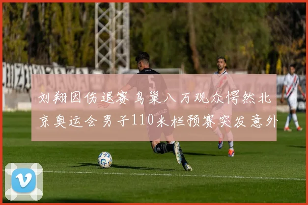 刘翔因伤退赛鸟巢八万观众愕然北京奥运会男子110米栏预赛突发意外