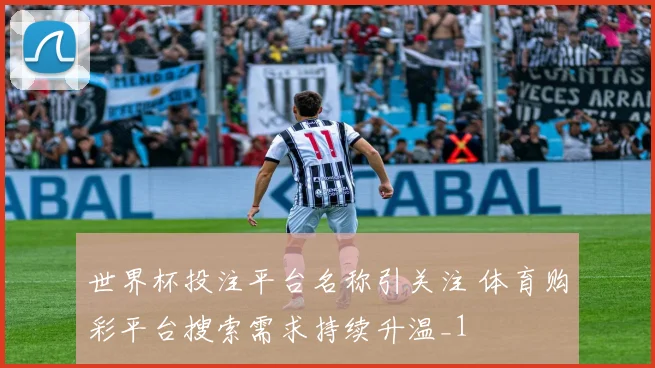 世界杯投注平台名称引关注 体育购彩平台搜索需求持续升温_1