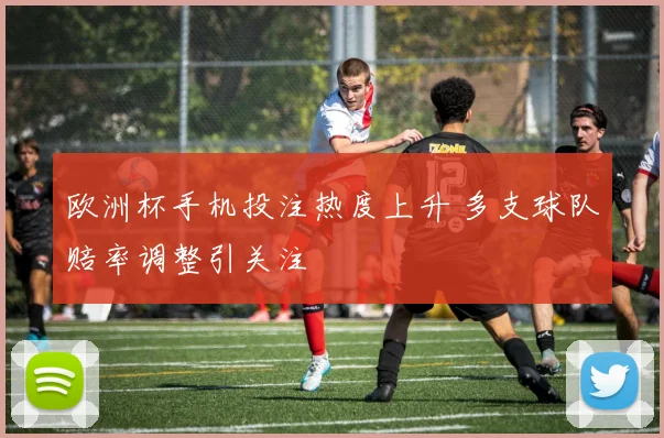 欧洲杯手机投注热度上升 多支球队赔率调整引关注