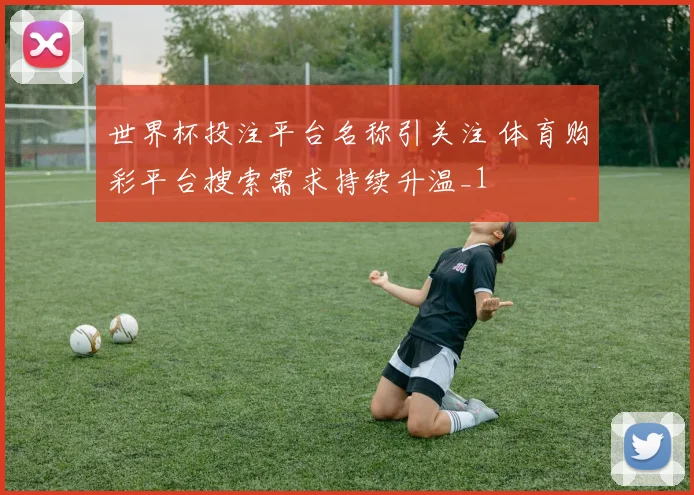 世界杯投注平台名称引关注 体育购彩平台搜索需求持续升温_1