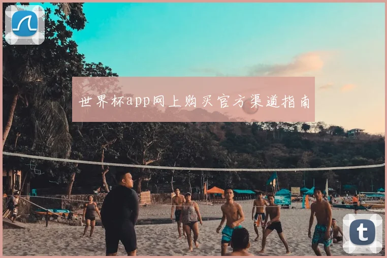 世界杯app网上购买官方渠道指南