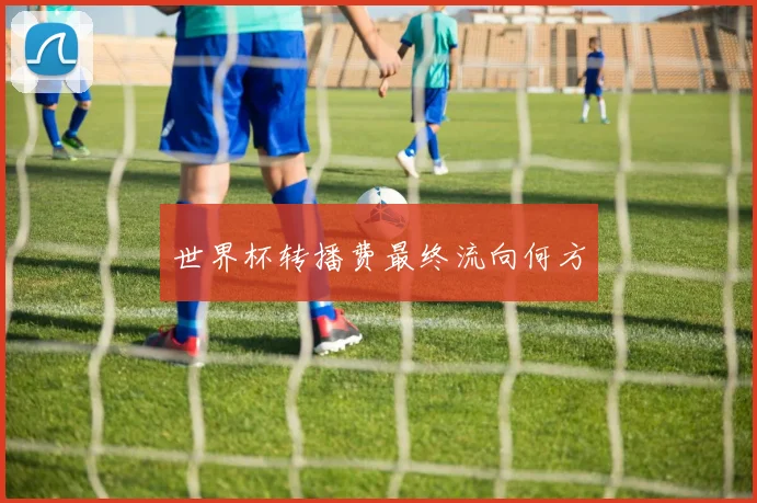 世界杯转播费最终流向何方
