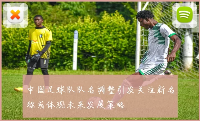 中国足球队队名调整引发关注新名称或体现未来发展策略