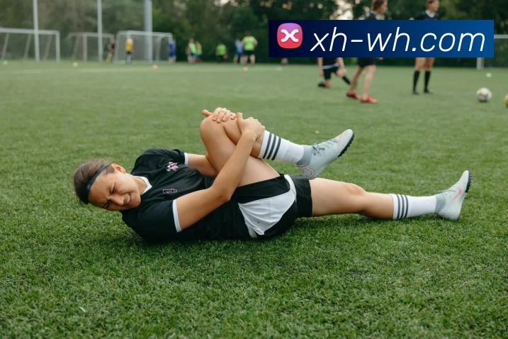 开云手机入口官网 - 开云online(中国)APP 封面图